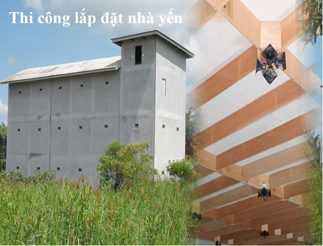 Lắp đặt nhà yến