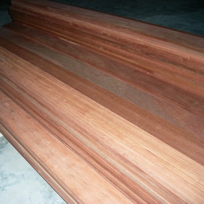  Mô hình kết hợp nuôi ruồi lính đen trong nhà yến - Giải pháp thức ăn cho yến trong mùa lạnh