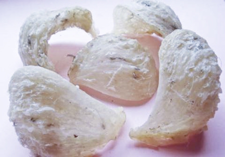 Cung cấp tổ Yến sào nguyên chất