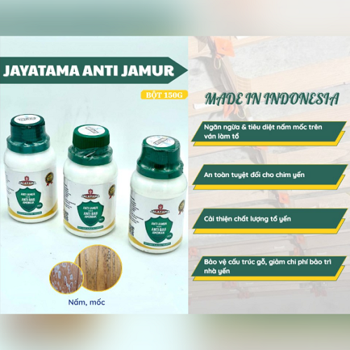 BỘT ANTI JAMUR CHỐNG NẤM MỐC GỖ HIỆU QUẢ CHO NHÀ YẾN