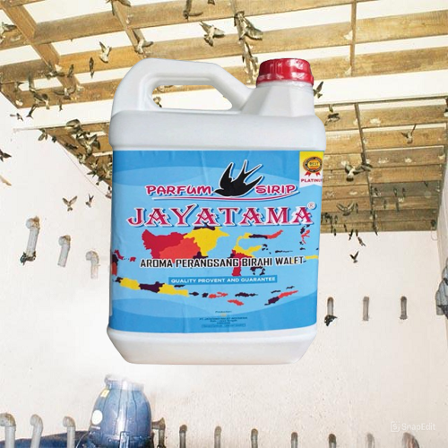 DUNG DỊCH JAYATAMA WALET 5L TẠO MÙI DẪN DỤ TĂNG BẦY ĐÀN HIỆU QUẢ CHO NHÀ YẾN