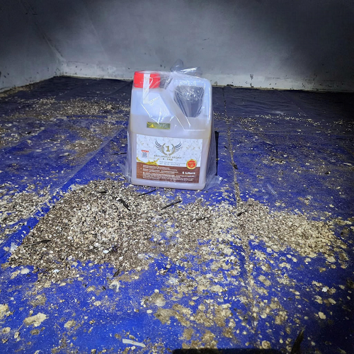 FIRST SWITFLET AROMA  5L - TẠO MÙI DẪN DỤ, GIỮ CHIM NON, TĂNG BẦY ĐÀN HIỆU QUẢ CHO NHÀ YẾN