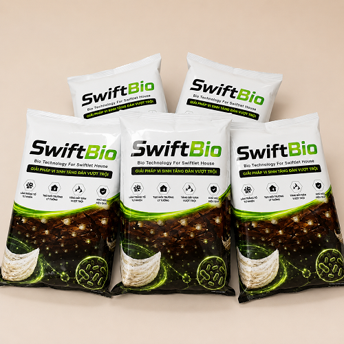 Men vi sinh SwiftBio giải pháp tăng đàn hiệu quả cho nhà yến