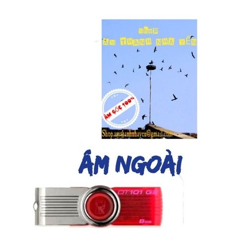 USB âm thanh ngoài nhà yến- âm thanh gọi bầy